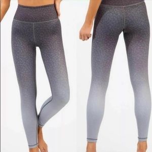 Zyia Active Blue Ombré Leopard Cheetah Print High N Tight Leggings High Rise